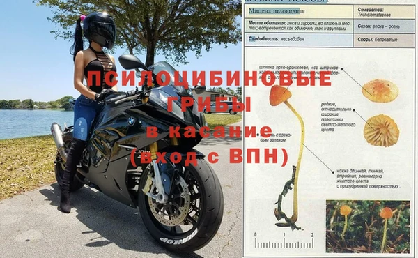 амф Беломорск