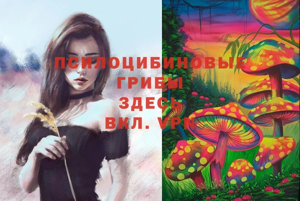 амф Беломорск