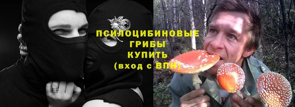 амф Беломорск